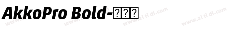 AkkoPro Bold字体转换